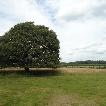 ベッド・アンド・ブレックファスト Rose Court