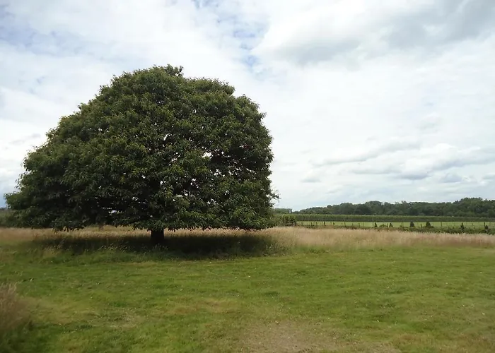 ベッド・アンド・ブレックファスト Rose Court